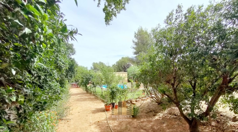 Sevilla - Alcalá de Guadaíra - 1300m2