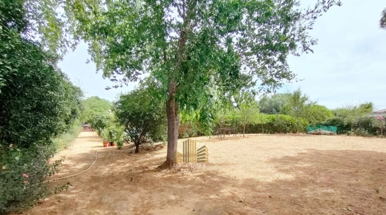 Sevilla - Alcalá de Guadaíra - 1300m2