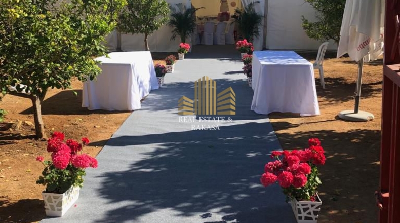 Sevilla - Alcalá de Guadaíra - 10000m2