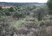 Non-developable land for sale on España, Sant Pere de Riudebitlles, ref: TR393901 photo