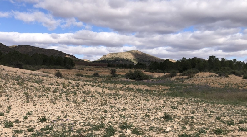 Albacete - Viveros - 16m2