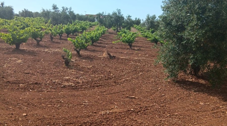 Badajoz - Вильяфранка-де-лос-Баррос - 2m2