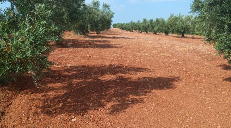 Badajoz - Вильяфранка-де-лос-Баррос - 2m2