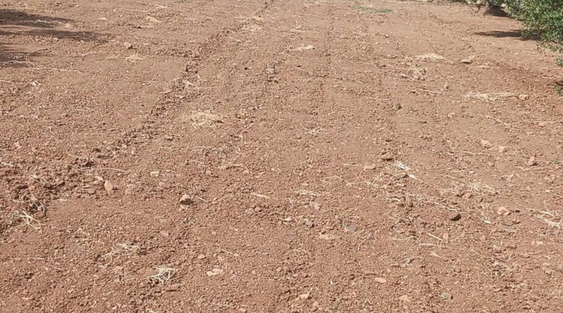Badajoz - Вильяфранка-де-лос-Баррос - 2m2