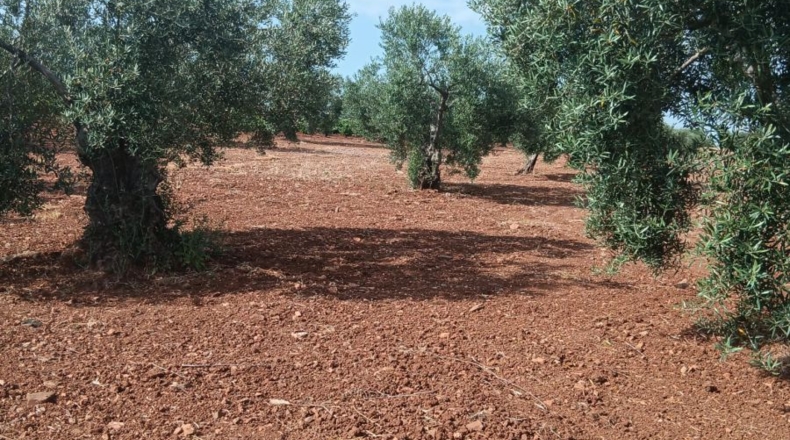 Badajoz - Вильяфранка-де-лос-Баррос - 2m2