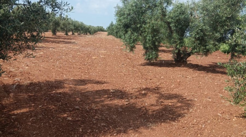 Badajoz - Вильяфранка-де-лос-Баррос - 2m2