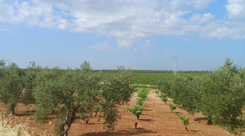 Badajoz - Вильяфранка-де-лос-Баррос - 2m2