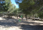 Terreno no urbanizable en venta en Villarrobledo ref: TR385586 foto