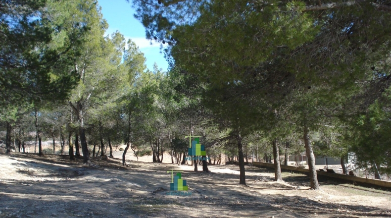 Valencia - Aldaya - 6289m2