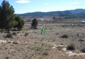 Terreno no urbanizable en venta en Villarrobledo ref: TR385586 foto