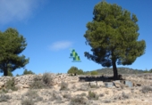 Terreno no urbanizable en venta en Villarrobledo ref: TR385586 foto