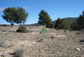 Foto 8