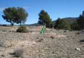 Terreno no urbanizable en venta en Villarrobledo ref: TR385586 foto