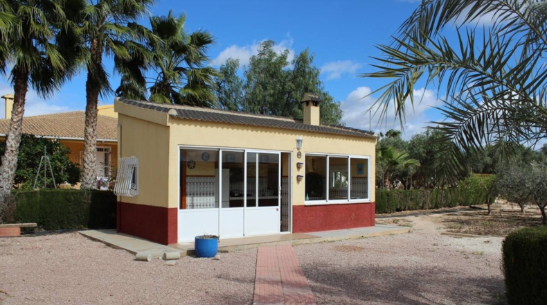 Alicante - Crevillente - 13800m2