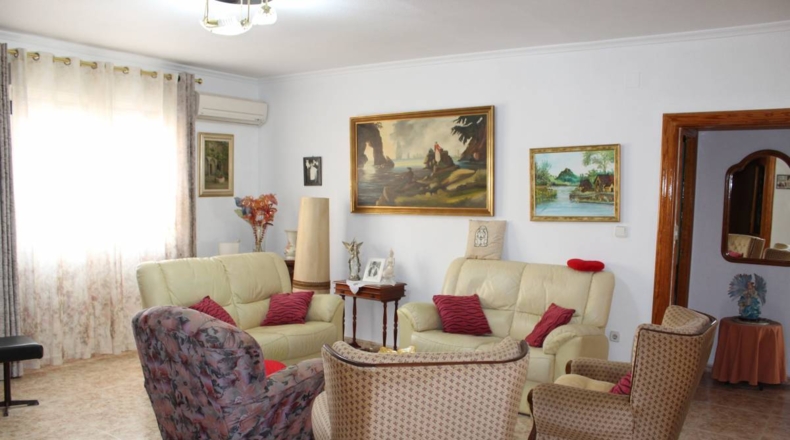 Alicante - Crevillente - 13800m2