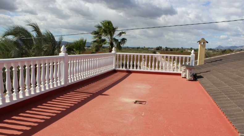 Alicante - Crevillente - 13800m2