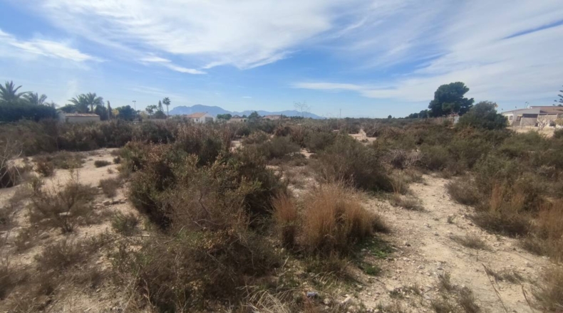 Alicante - Crevillente - 14184m2