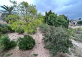 Country house with land for sale in Xixona ref: TR386241 photo