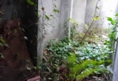 Дом с участком на продажу в городе Congosto Фото