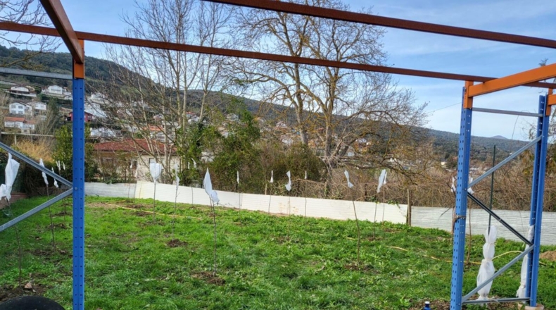 Burgos - Avellanosa del Páramo - 470m2