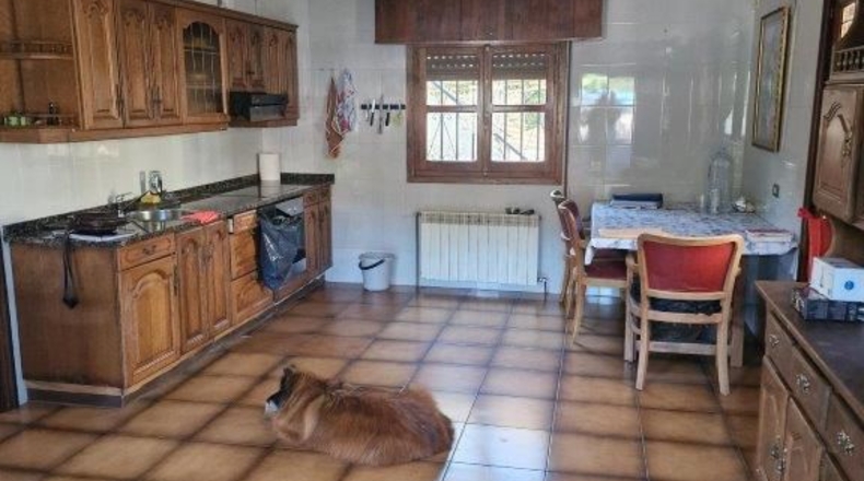 Vizcaya - Nocedal - 870m2