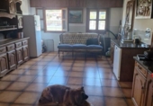 Chalet independiente con terreno en venta en Ortuella ref: TR386128 foto