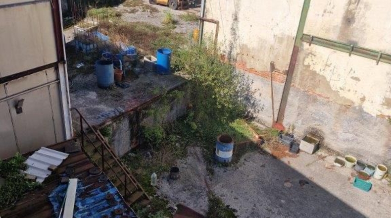 Vizcaya - Nocedal - 870m2