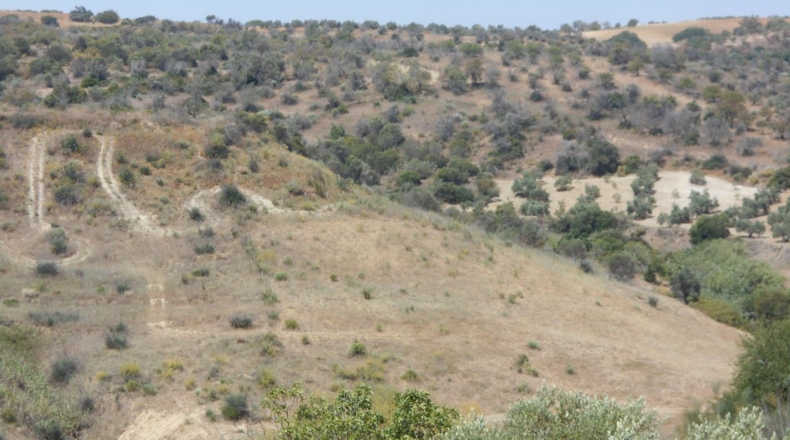 Málaga - Алаурин-де-ла-Торре - 15344m2