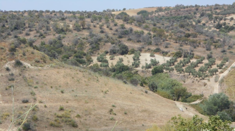 Málaga - Алаурин-де-ла-Торре - 15344m2