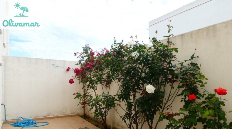 Valencia - Oliva - 186m2