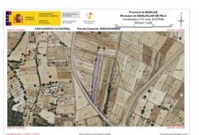 Navalvillar de Pela 4577&nbsp;m² 