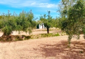 Terreno no urbanizable en venta en Vélez-Rubio ref: TR386371 foto