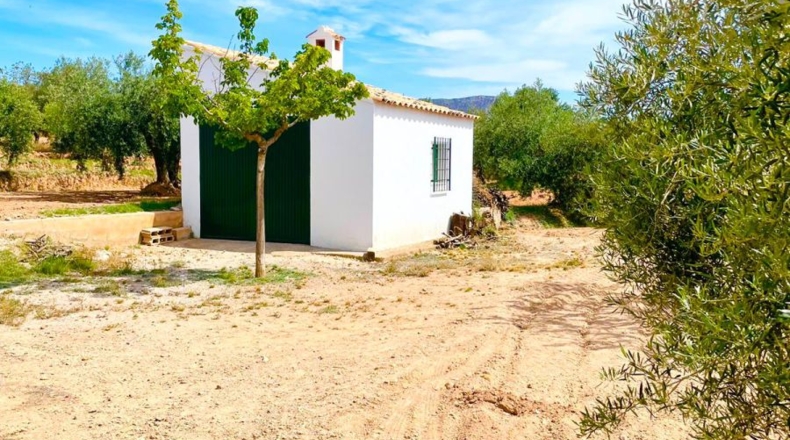 Almería - Велес-Рубио - 5000m2
