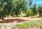 Terreno no urbanizable en venta en Vélez-Rubio ref: TR386371 foto