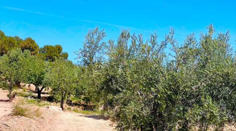 Almería - Велес-Рубио - 5000m2