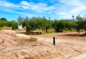 Terreno no urbanizable en venta en Vélez-Rubio ref: TR386371 foto