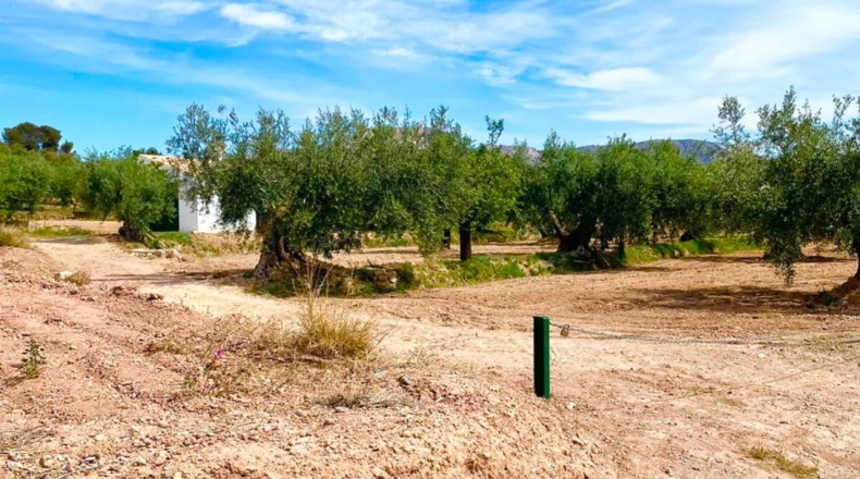 Almería - Велес-Рубио - 5000m2