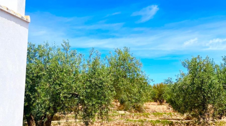 Almería - Велес-Рубио - 5000m2
