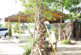 Foto 7
