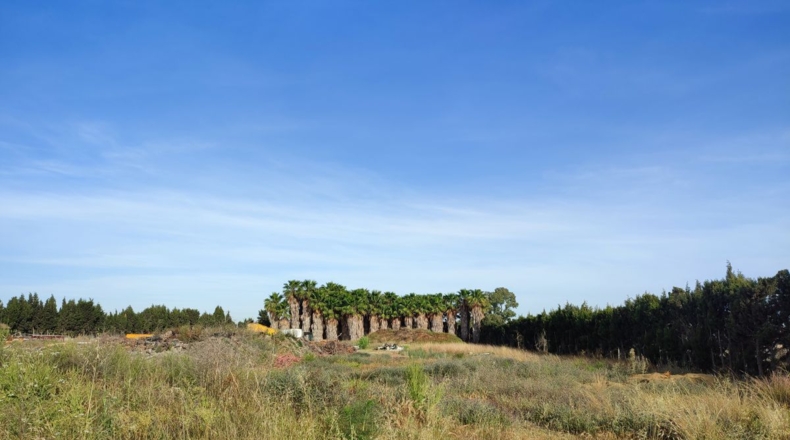 València - Sueca - 16334m2