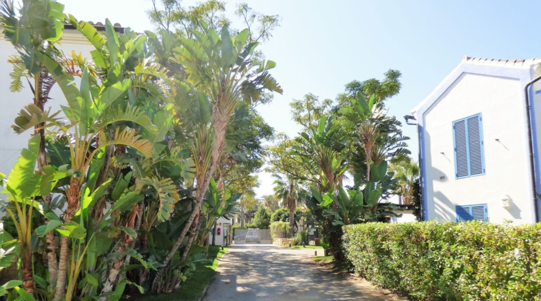 Cadiz - Puerto Real - 340m2