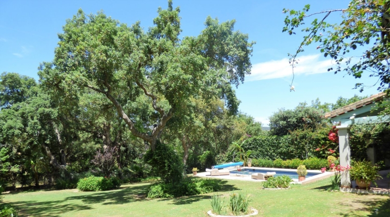 Cádiz - San Roque - 1560m2