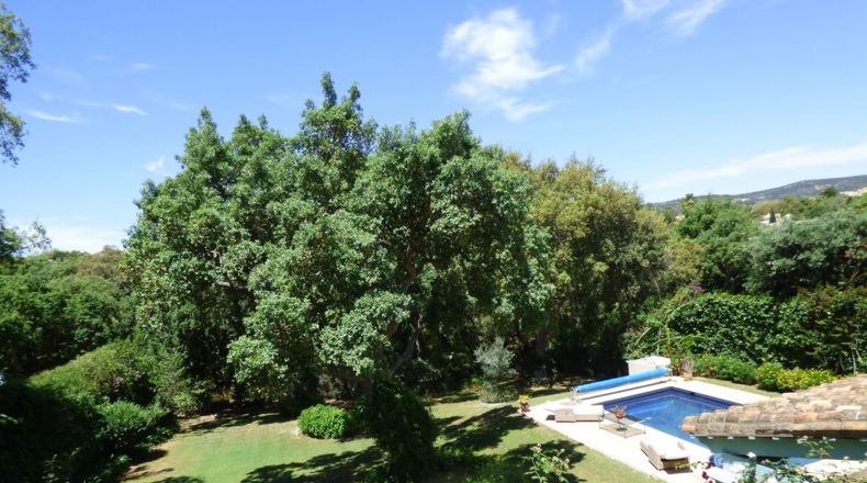 Cádiz - San Roque - 1560m2