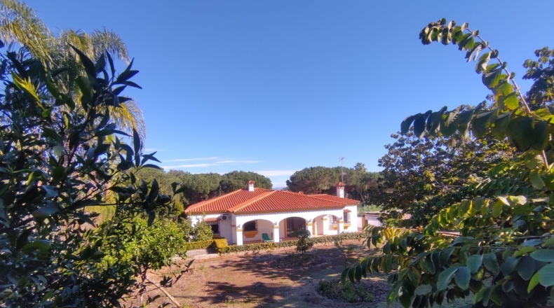 Cádiz - San Roque - 1216m2