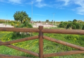 Terreno no urbanizable en venta en la España, Guardamar de la Safor, ref: TR386707 foto