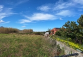 Terreno no urbanizable en venta en la España, Guardamar de la Safor, ref: TR386707 foto