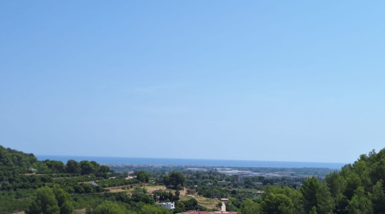 Valencia - Oliva - 54804m2
