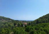 Finca rústica en venta en la España, Oliva, ref: TR386061 foto