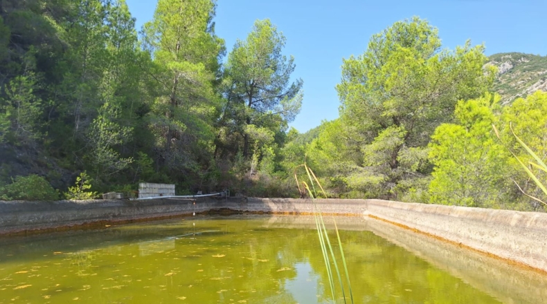 Valencia - Oliva - 54804m2