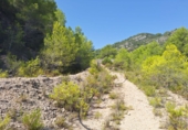 Finca rústica en venta en la España, Oliva, ref: TR386061 foto